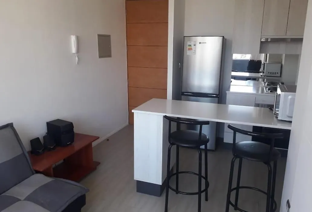 Radal 1 - Apartamento- Metro Ecuador, Parking Por Pagar Appartamento Santiago del Cile